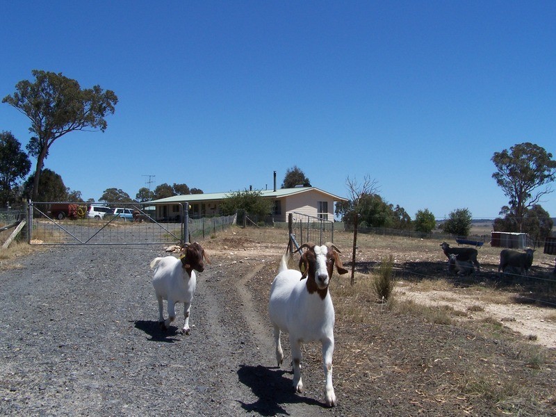 2483 Range Road, Bannister NSW 2580