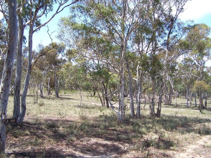 67 Woodouselee Road, Goulburn NSW 2580