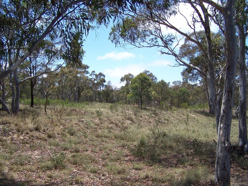 67 Woodouselee Road, Goulburn NSW 2580