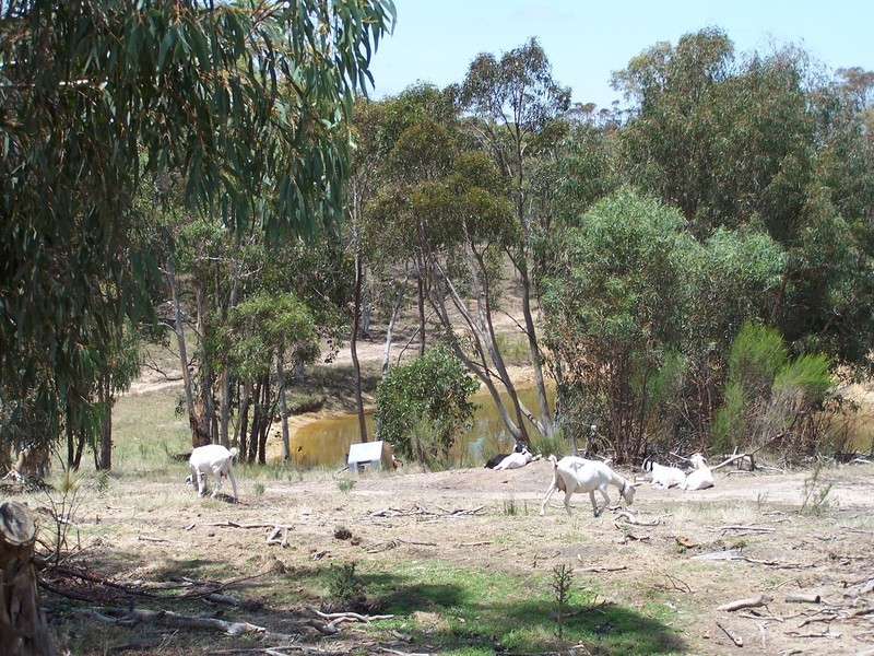 67 Woodouselee Road, Goulburn NSW 2580