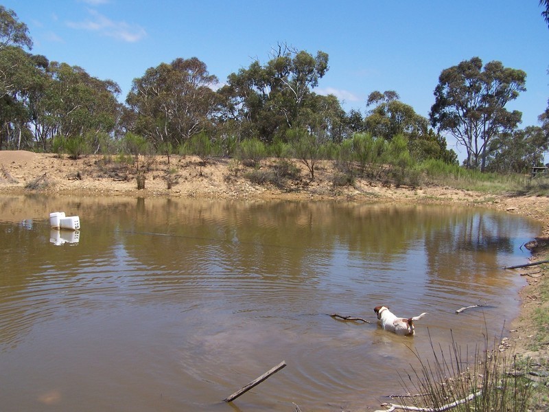 67 Woodouselee Road, Goulburn NSW 2580