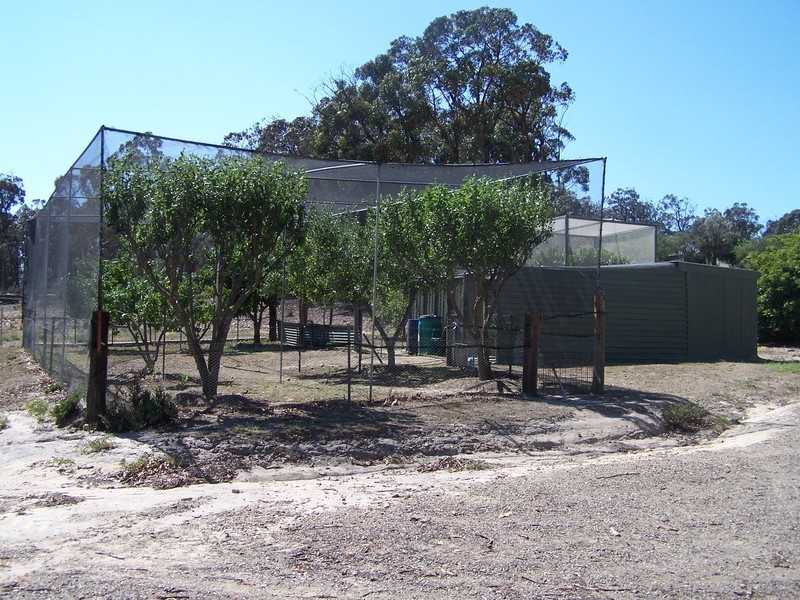 87 Gumnut Crescent, Bungonia NSW 2580