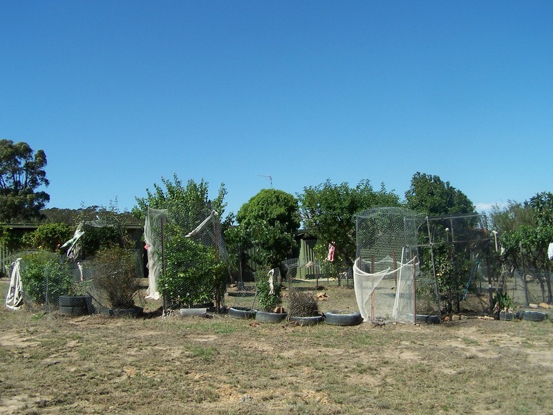 87 Gumnut Crescent, Bungonia NSW 2580