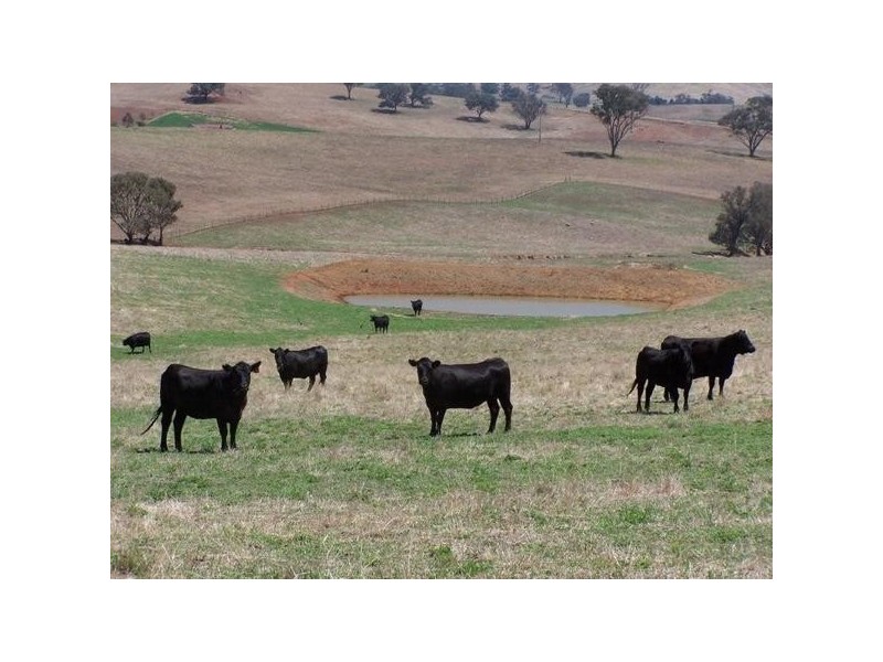 “Geraldine” Rosehill Road, Cootamundra NSW 2590