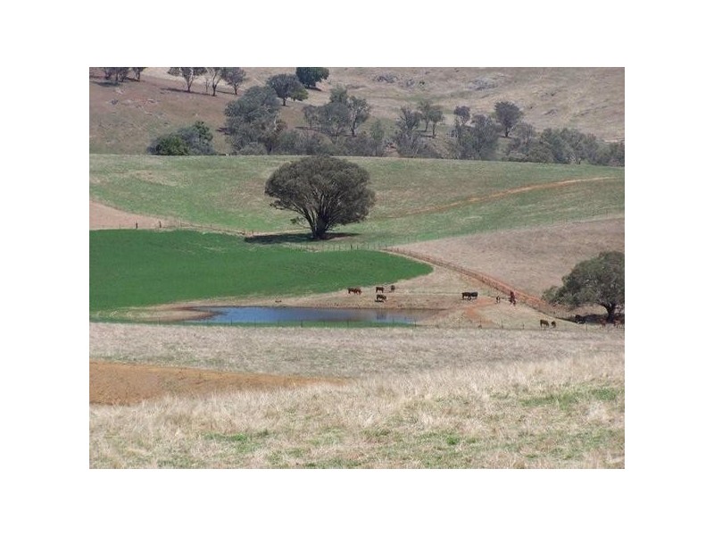 “Geraldine” Rosehill Road, Cootamundra NSW 2590