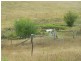 152  Bannaby Road, Taralga NSW 2580