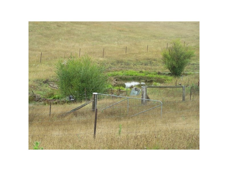152  Bannaby Road, Taralga NSW 2580