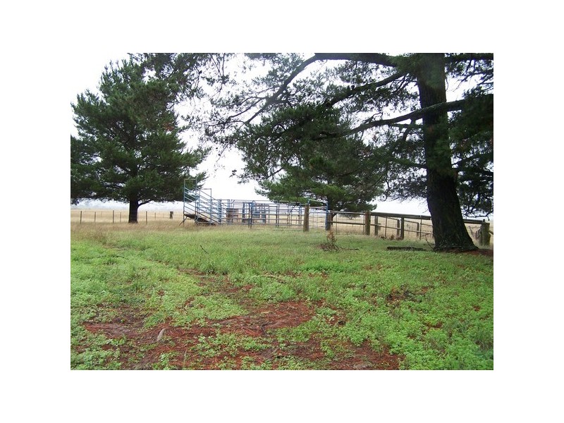 152  Bannaby Road, Taralga NSW 2580