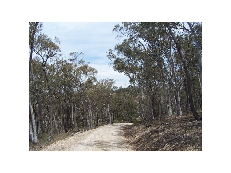 288 Mount Baw Baw Road, Goulburn NSW 2580