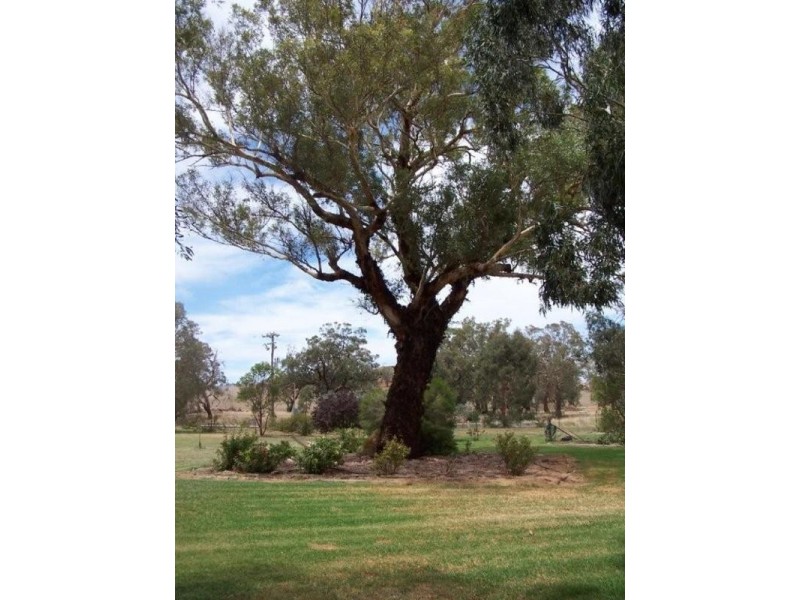 “Yolanda” Muttama Road, Gundagai NSW 2722