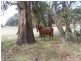 3943 Range Road, Crookwell NSW 2583