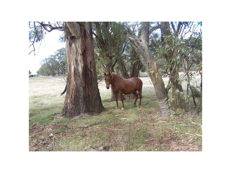 3943 Range Road, Crookwell NSW 2583
