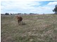 3943 Range Road, Crookwell NSW 2583