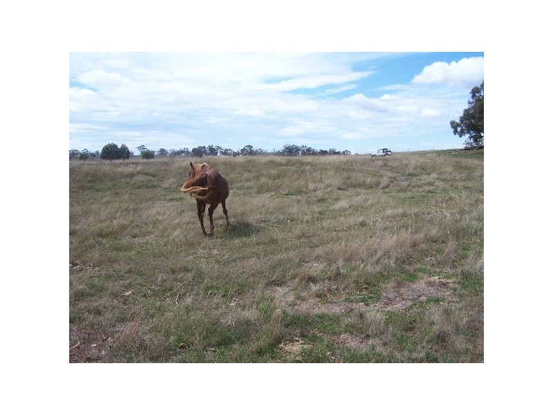 3943 Range Road, Crookwell NSW 2583