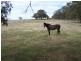 3943 Range Road, Crookwell NSW 2583