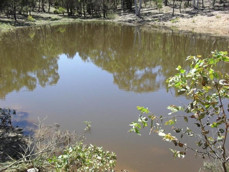 265 Sturgiss Road, Tarago NSW 2580