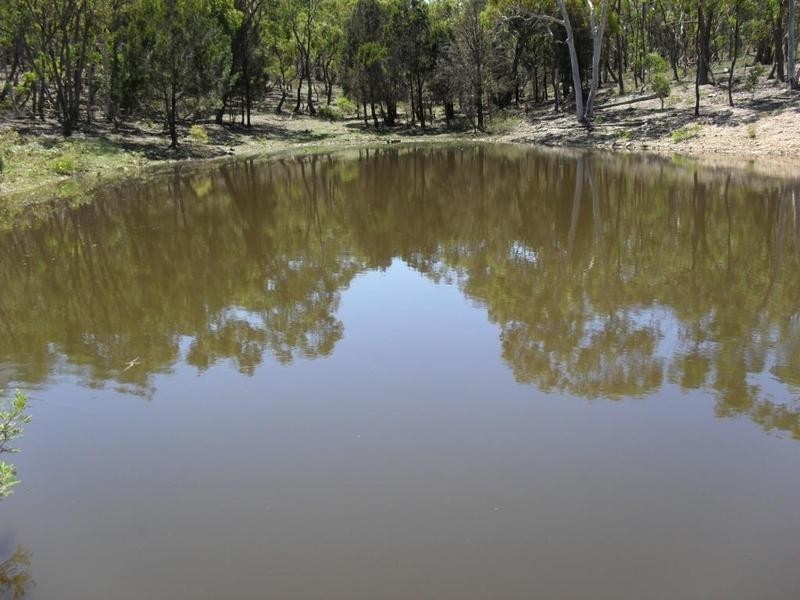 265 Sturgiss Road, Tarago NSW 2580