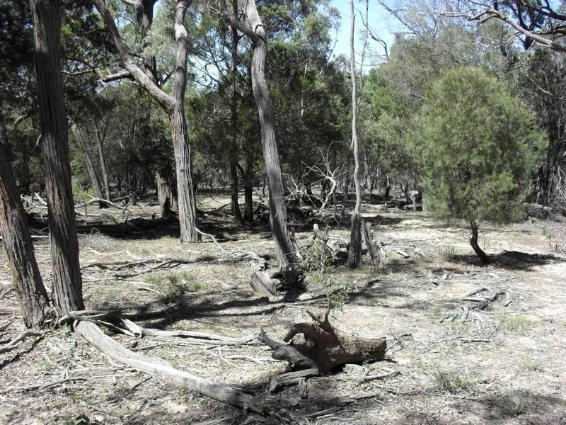 265 Sturgiss Road, Tarago NSW 2580