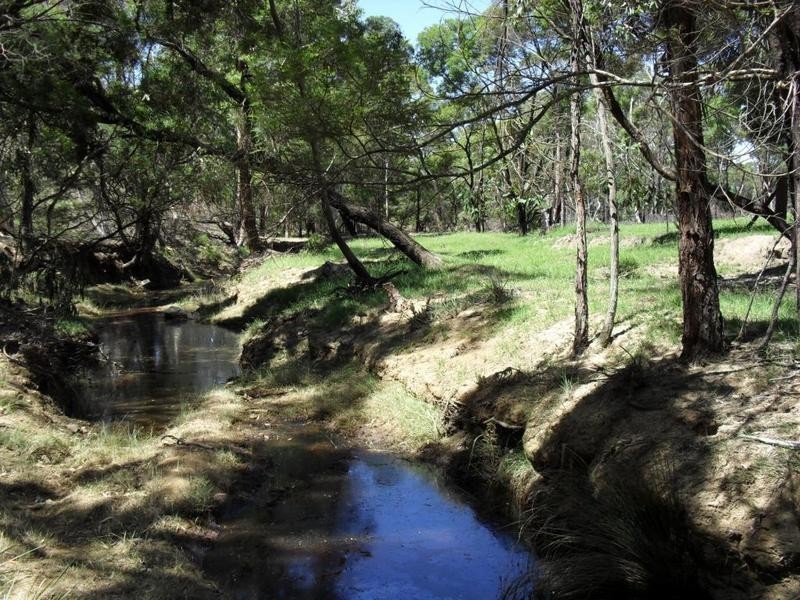 265 Sturgiss Road, Tarago NSW 2580