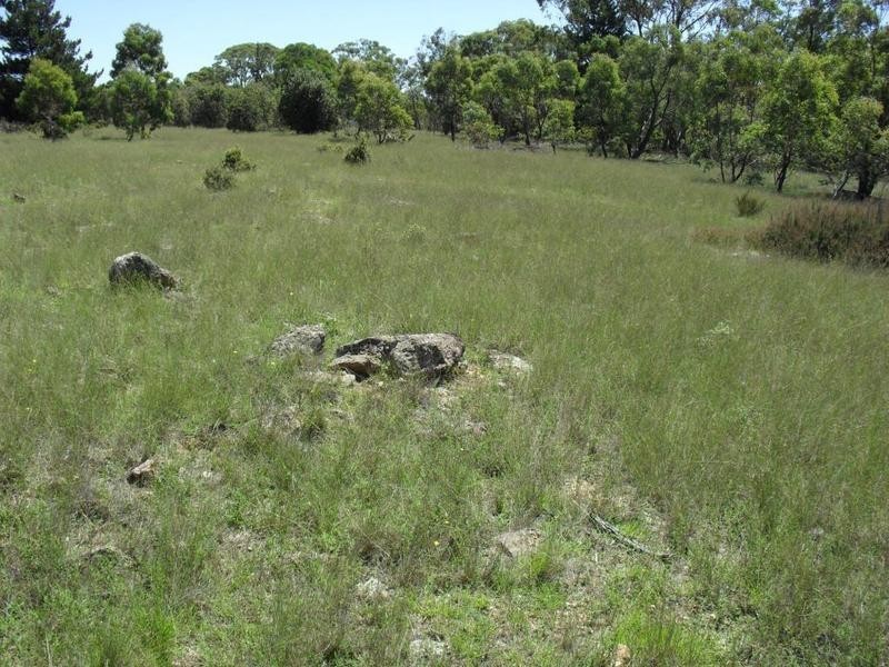 265 Sturgiss Road, Tarago NSW 2580