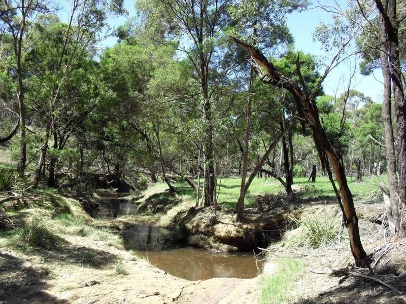 265 Sturgiss Road, Tarago NSW 2580