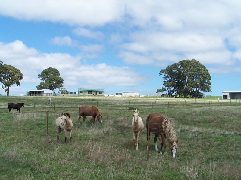 1957 Rhyanna Road, Taralga NSW 2580