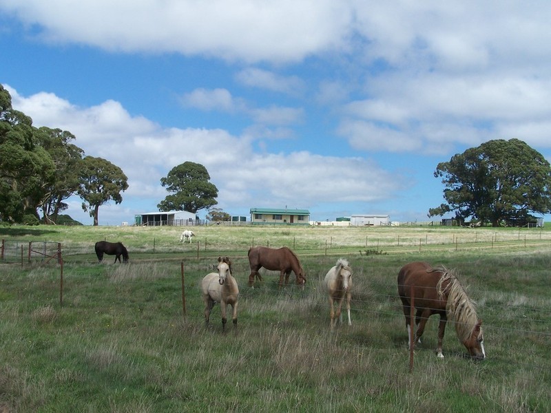 1957 Rhyanna Road, Taralga NSW 2580