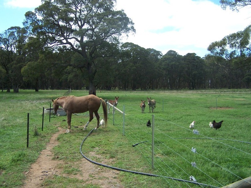 1957 Rhyanna Road, Taralga NSW 2580