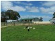 1957 Rhyanna Road, Taralga NSW 2580