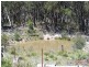 276 Mares Forest Road, Taralga NSW 2580