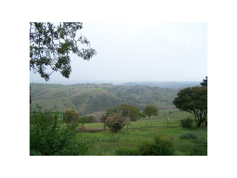 832 Levels Road, Golspie NSW 2580