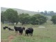 832 Levels Road, Golspie NSW 2580