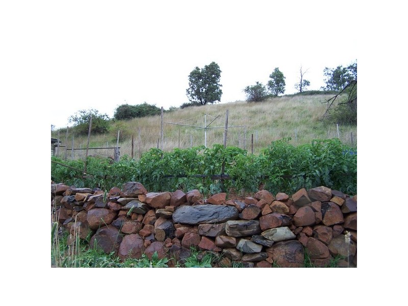832 Levels Road, Golspie NSW 2580