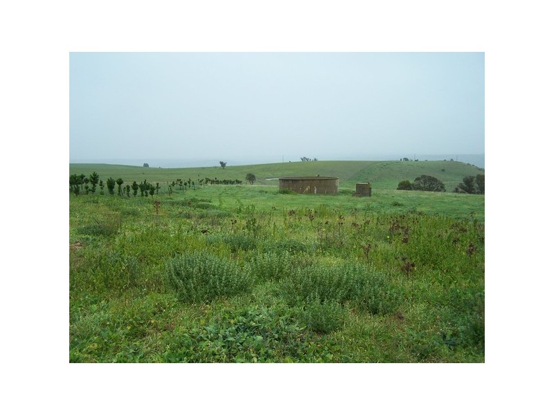 832 Levels Road, Golspie NSW 2580