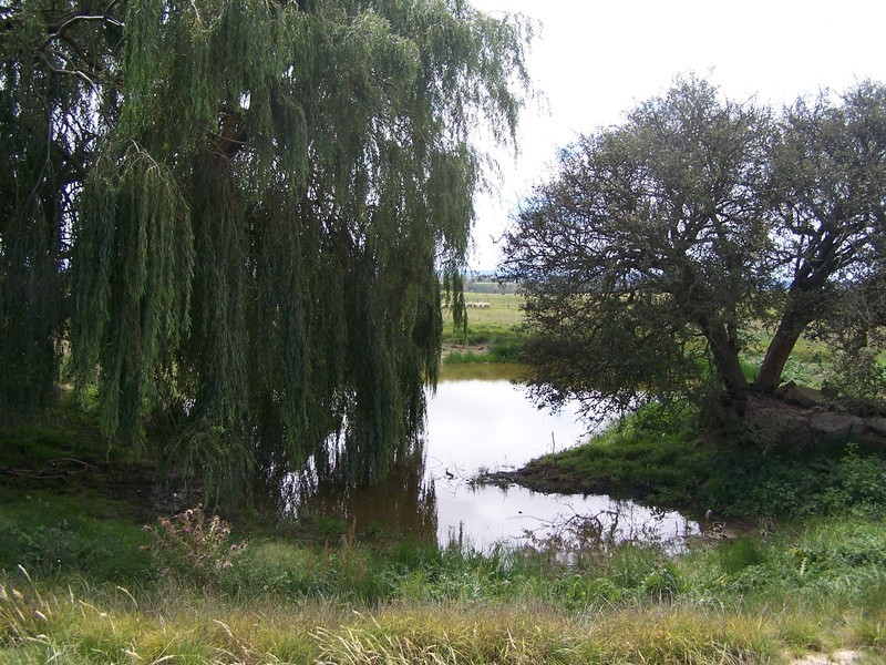 1574 Fullerton Road, Fullerton NSW 2583