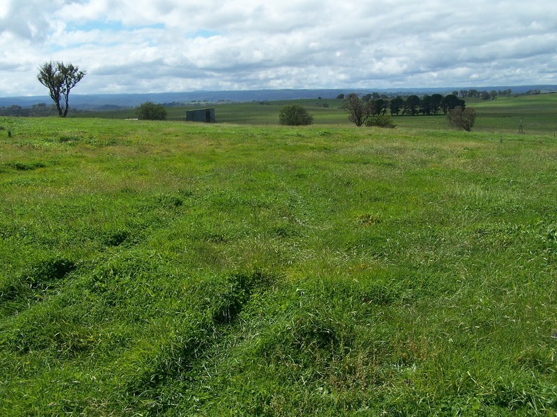 1574 Fullerton Road, Fullerton NSW 2583