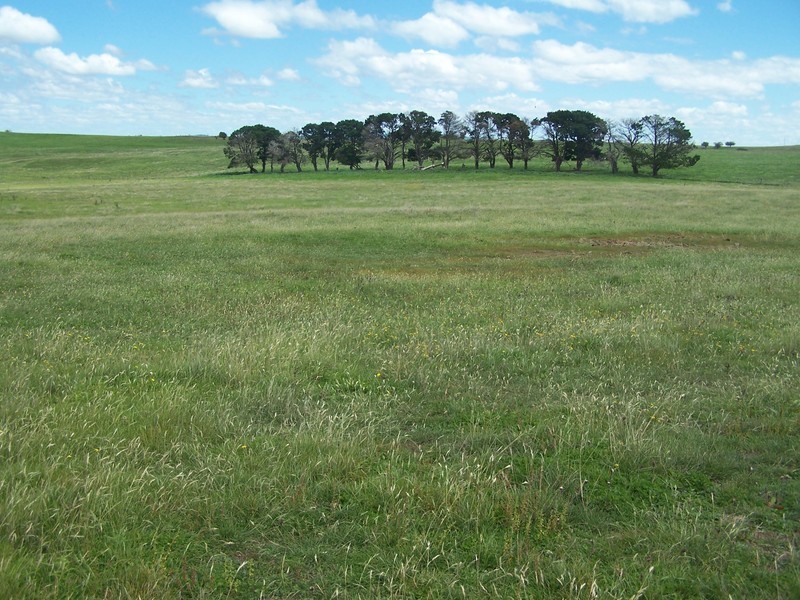 1574 Fullerton Road, Fullerton NSW 2583