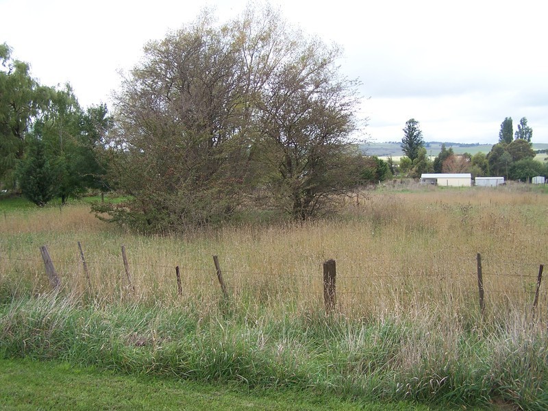 Lot 2 Orchard Street, Taralga NSW 2580