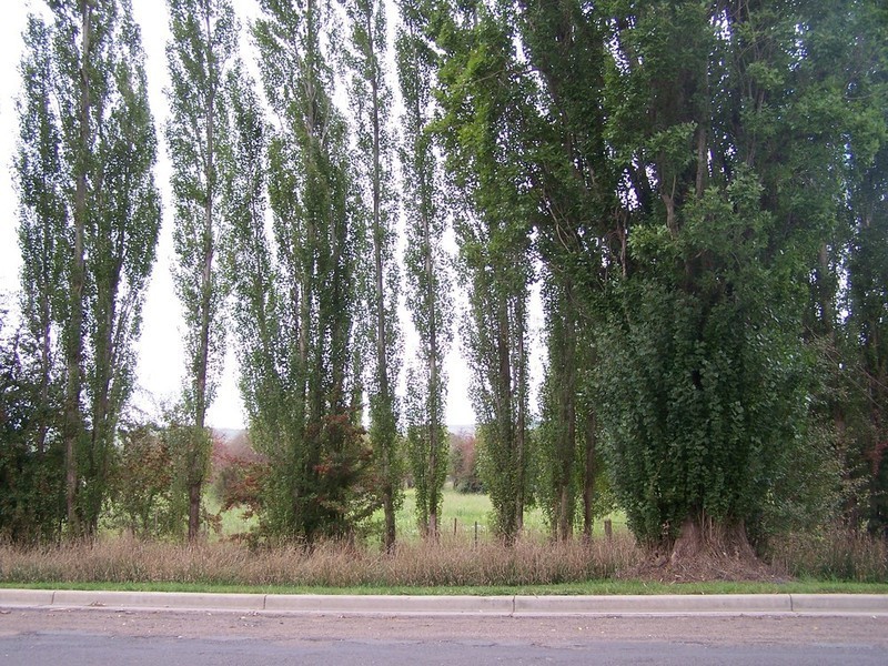 Lot 1 Orchard Street, Taralga NSW 2580