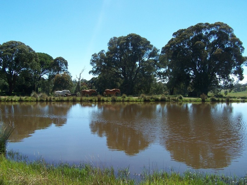 268 Waiborough Road, Taralga NSW 2580