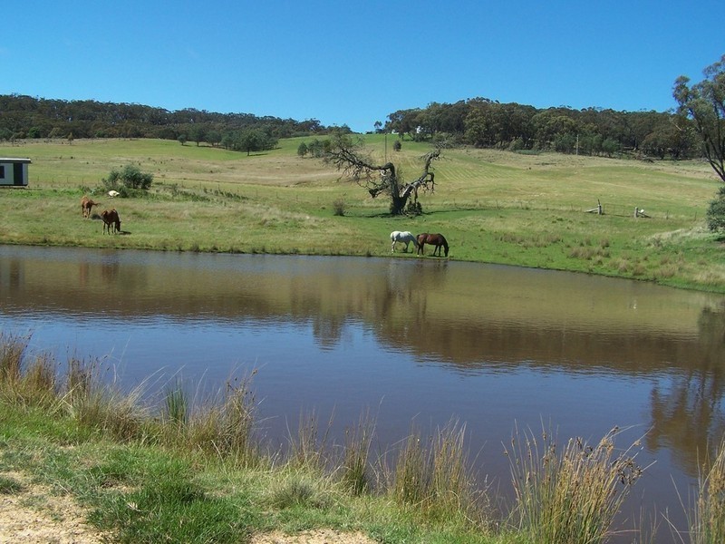 268 Waiborough Road, Taralga NSW 2580