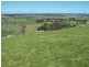 1764 Sapphire Road, Biala NSW 2581