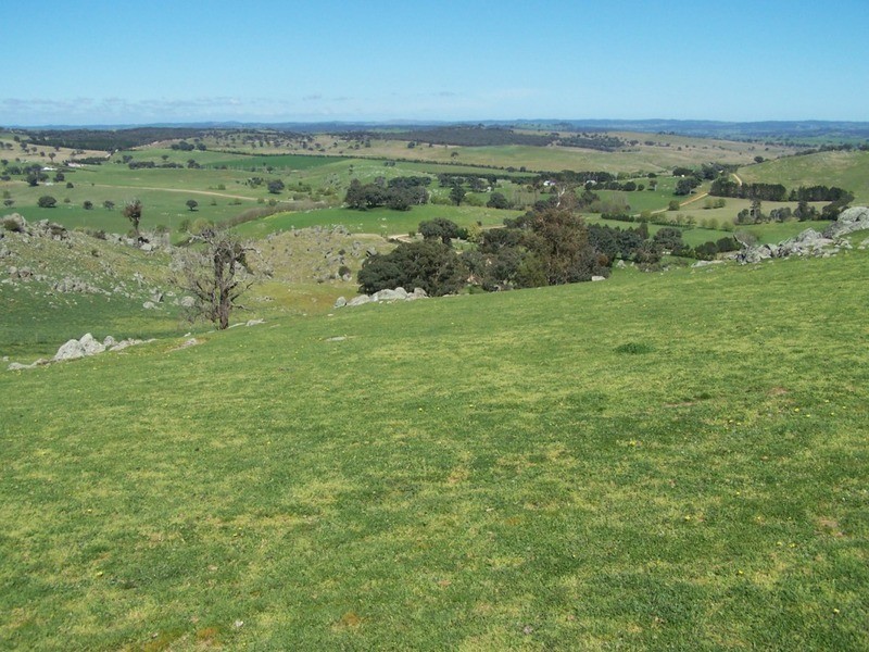 1764 Sapphire Road, Biala NSW 2581