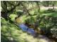 1764 Sapphire Road, Biala NSW 2581