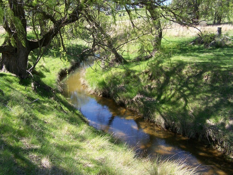 1764 Sapphire Road, Biala NSW 2581