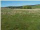 1764 Sapphire Road, Biala NSW 2581