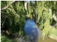 1764 Sapphire Road, Biala NSW 2581