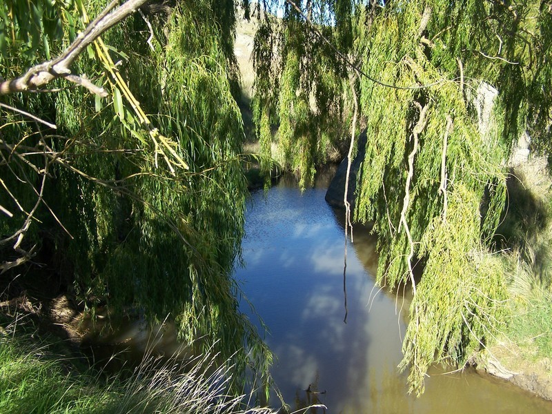 1764 Sapphire Road, Biala NSW 2581
