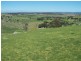 1764 Sapphire Road, Biala NSW 2581
