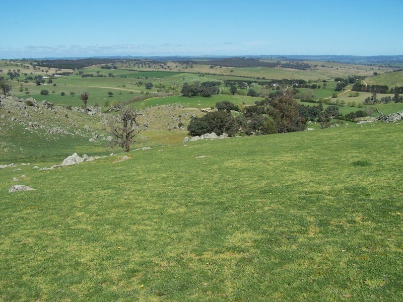 1764 Sapphire Road, Biala NSW 2581